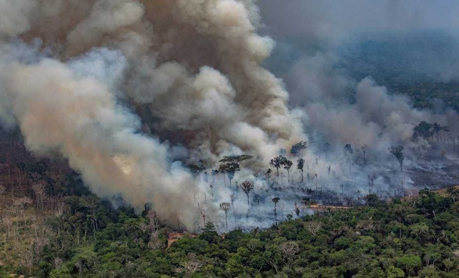 Donald Trump aplaudiÃ³ la gestiÃ³n del presidente Bolsonaro en la crisis de los incendios. En la foto, imagen aÃ©rea de Greenpeace que muestra uno de los focos de incendio en Rondonia. (Foto: AFP)